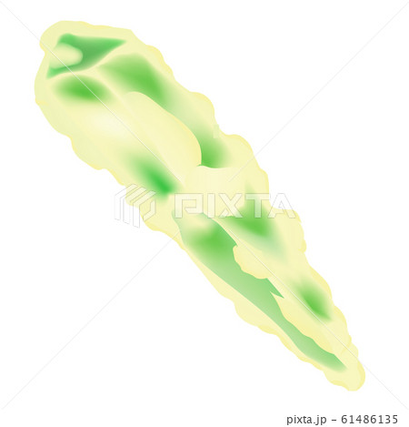 オクラの天ぷらのイラスト素材
