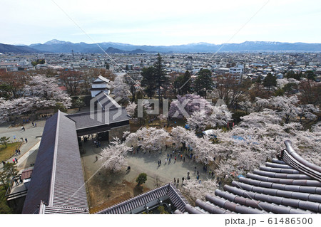 福島県/ 桜満開の鶴ヶ城 天守からの眺望 福島県/ 桜満開の鶴ヶ城 天守からの眺望 61486500
