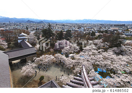 福島県/ 桜満開の鶴ヶ城 天守からの眺望 福島県/ 桜満開の鶴ヶ城 天守からの眺望 61486502