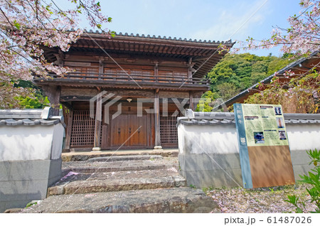 大興善寺 大興善寺 61487026