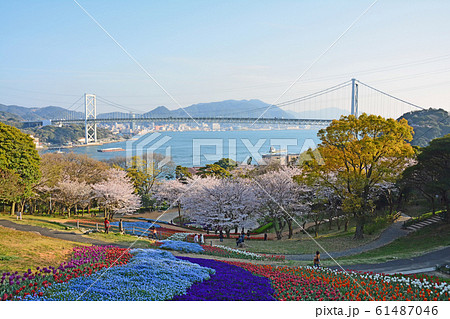 火の山公園トルコチューリップ園 火の山公園トルコチューリップ園 61487046