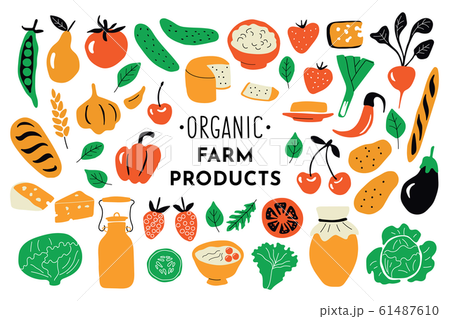 Healthy food, organic products set. Funny doodle vector illustration. Farm market collection. Healthy food, organic products set. Funny doodle vector illustration. Farm market collection. 61487610