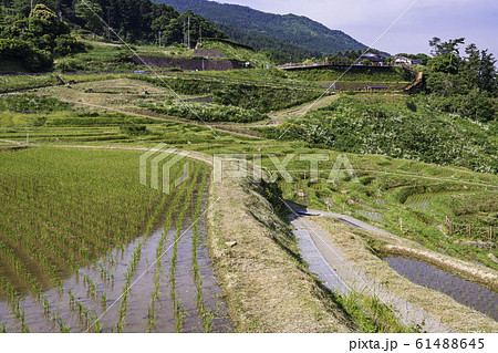 （石川県）田植の済んだ、白米千枚田　道の駅 61488645