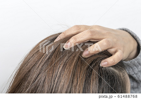 【ミドル　白髪】　 61488768