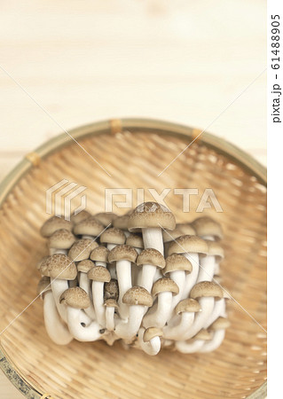 しめじ　ぶなしめじ 61488905