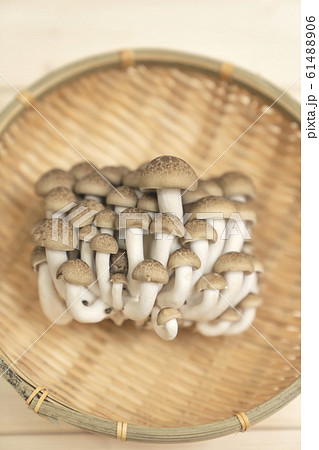 しめじ　ぶなしめじ 61488906