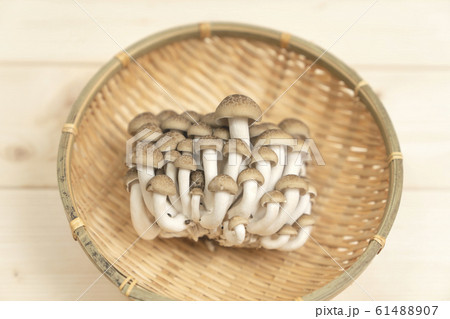 しめじ　ぶなしめじ 61488907
