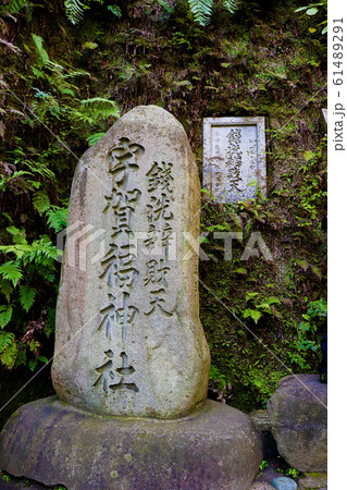 鎌倉の銭洗弁財天 61489291