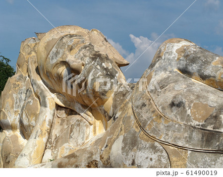 ワット・ロカヤスタ ワット・ロカヤスタ 61490019