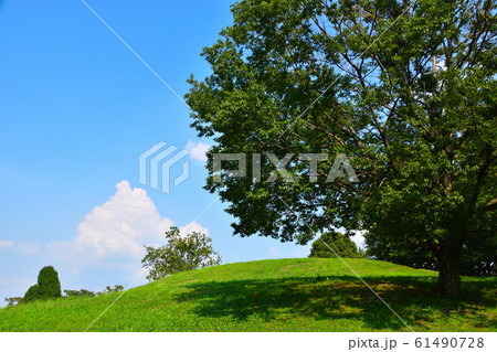夏の公園 61490728