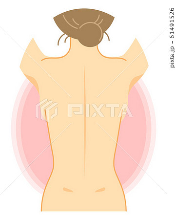 女性の背面のイラスト 裸 美容 健康 説明図 のイラスト素材