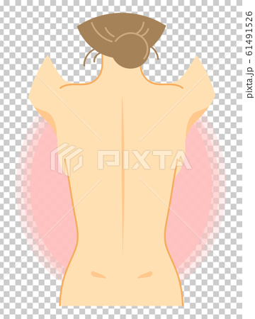 女性の背面のイラスト（裸・美容・健康・説明図） 61491526