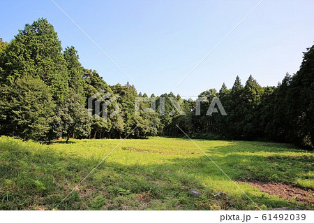 諏訪原城 61492039