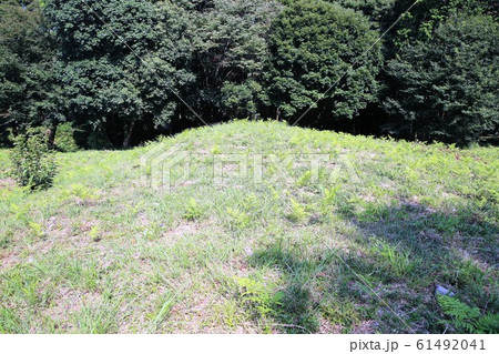 諏訪原城 61492041