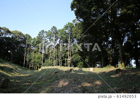 諏訪原城 61492053