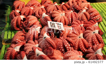 明石魚の棚 61492377