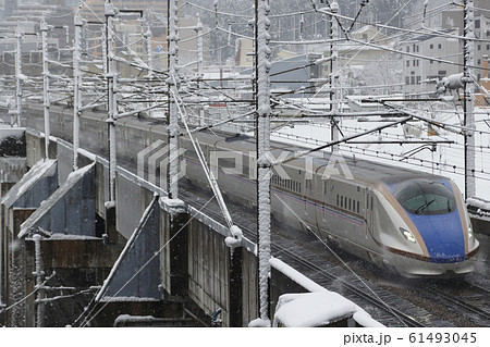 冬の上越新幹線E7系(限定デザイン車) 冬の上越新幹線E7系(限定デザイン車) 61493045