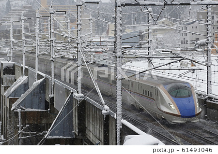 冬の上越新幹線E7系（限定デザイン車） 61493046
