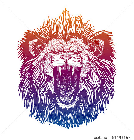 Hipster Lion Vector Illustration Mascot のイラスト素材
