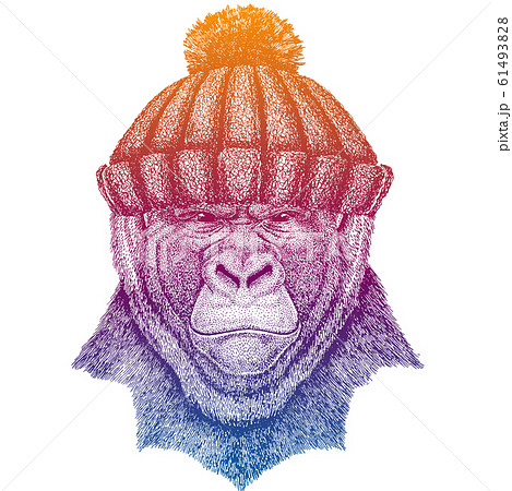 Gorilla, monkey, ape. Ski, skier animal wearing woolen knitted hat. Christmas time. Cartoon character for little children. Kids print for tee Gorilla, monkey, ape. Ski, skier animal wearing woolen knitted hat. Christmas time. Cartoon character for little children. Kids print for tee 61493828