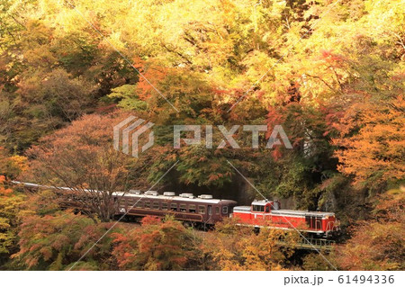 紅葉の渓谷を行くトロッコ列車 紅葉の渓谷を行くトロッコ列車 61494336