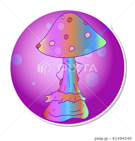 Vibrant colorful mushroom  61494340