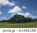 Hawaii 61496199