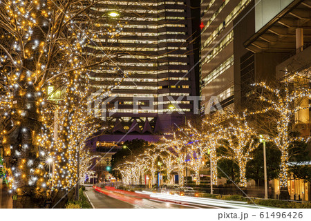 横浜みなとみらい さくら通りのイルミネーション 横浜みなとみらい さくら通りのイルミネーション 61496426
