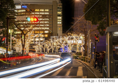 横浜みなとみらい さくら通りのイルミネーション 横浜みなとみらい さくら通りのイルミネーション 61496440