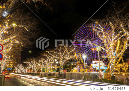 横浜みなとみらい さくら通りのイルミネーション 横浜みなとみらい さくら通りのイルミネーション 61496443