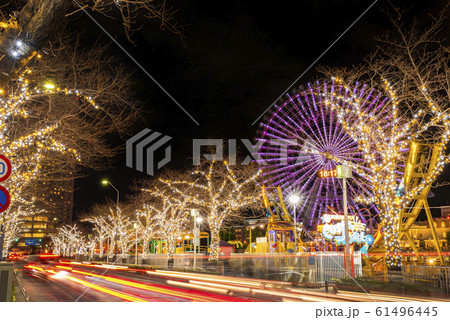 横浜みなとみらい さくら通りのイルミネーション 61496445