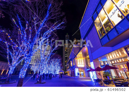 横浜みなとみらいのイルミネーション 横浜みなとみらいのイルミネーション 61496502