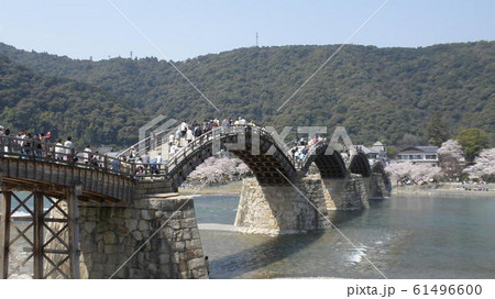 岩国錦帯橋 61496600