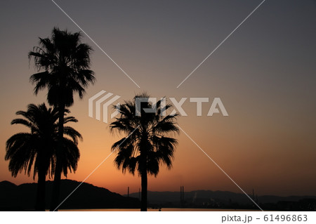夕暮れ 夕暮れ 61496863