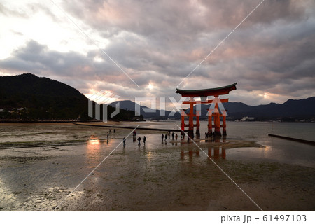 <広島県>宮島　厳島神社（嚴島神社）の大鳥居 61497103