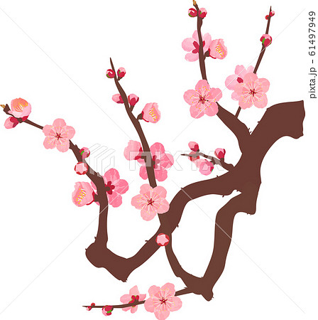 梅の花 水彩風 枝05 ベクターのイラスト素材