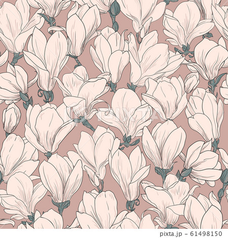 Magnolia pattern, line floral ornament. Seamless background. Hand drawn illustration in vintage style, beige color 61498150