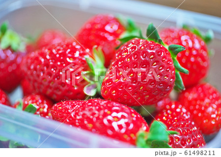 タッパーに入った真赤なイチゴ 61498211
