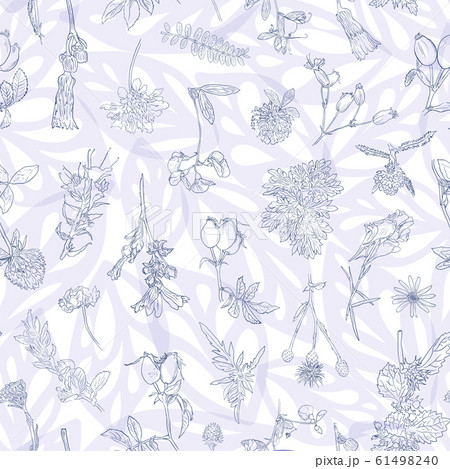 Wildflowers berries seamless pattern Hand drawn vector botanical illustration Background dogrose, burdock, herbs 61498240