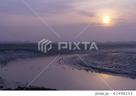 自然 風景 韓国 61499253