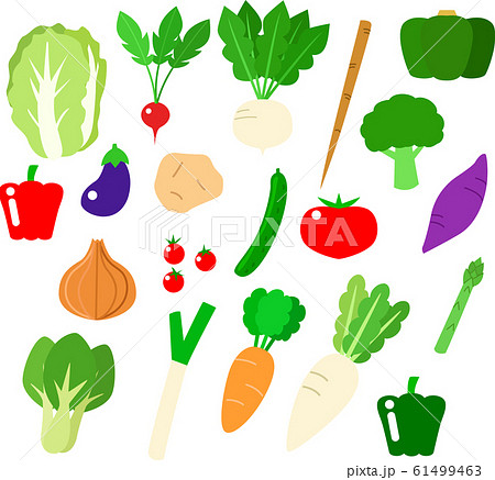 野菜セット 61499463