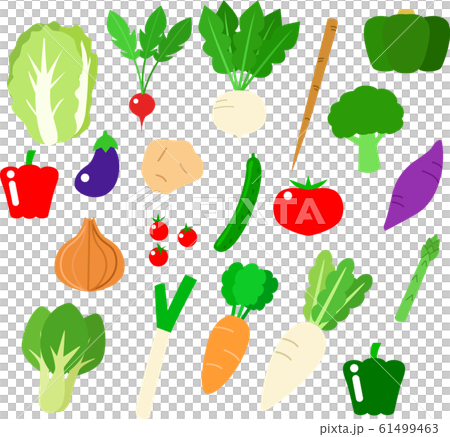 蔬菜組 61499463