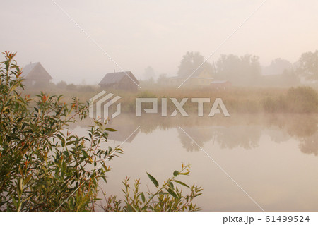Light fog over the pond. Plants near the water Light fog over the pond. Plants near the water 61499524