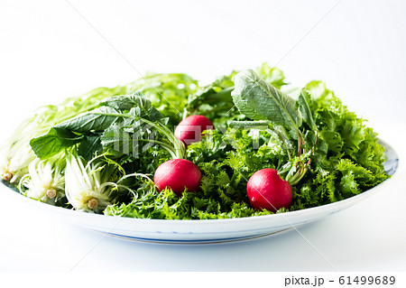 冬野菜 61499689