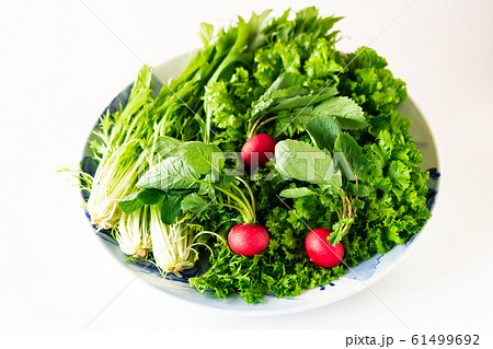 冬野菜 冬野菜 61499692