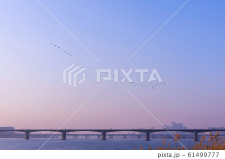 自然 風景 韓国 61499777