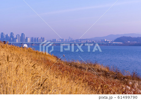 自然 風景 韓国 61499790