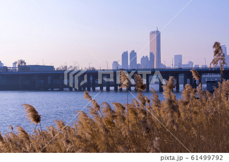 自然 風景 韓国 61499792