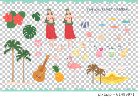 南国リゾートのイラスト素材セット 61499971