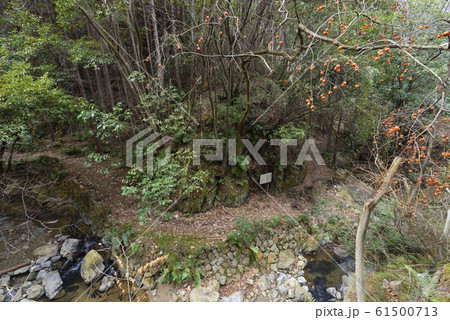 屏風岩(明智戻り岩)京都府亀岡市 屏風岩(明智戻り岩)京都府亀岡市 61500713